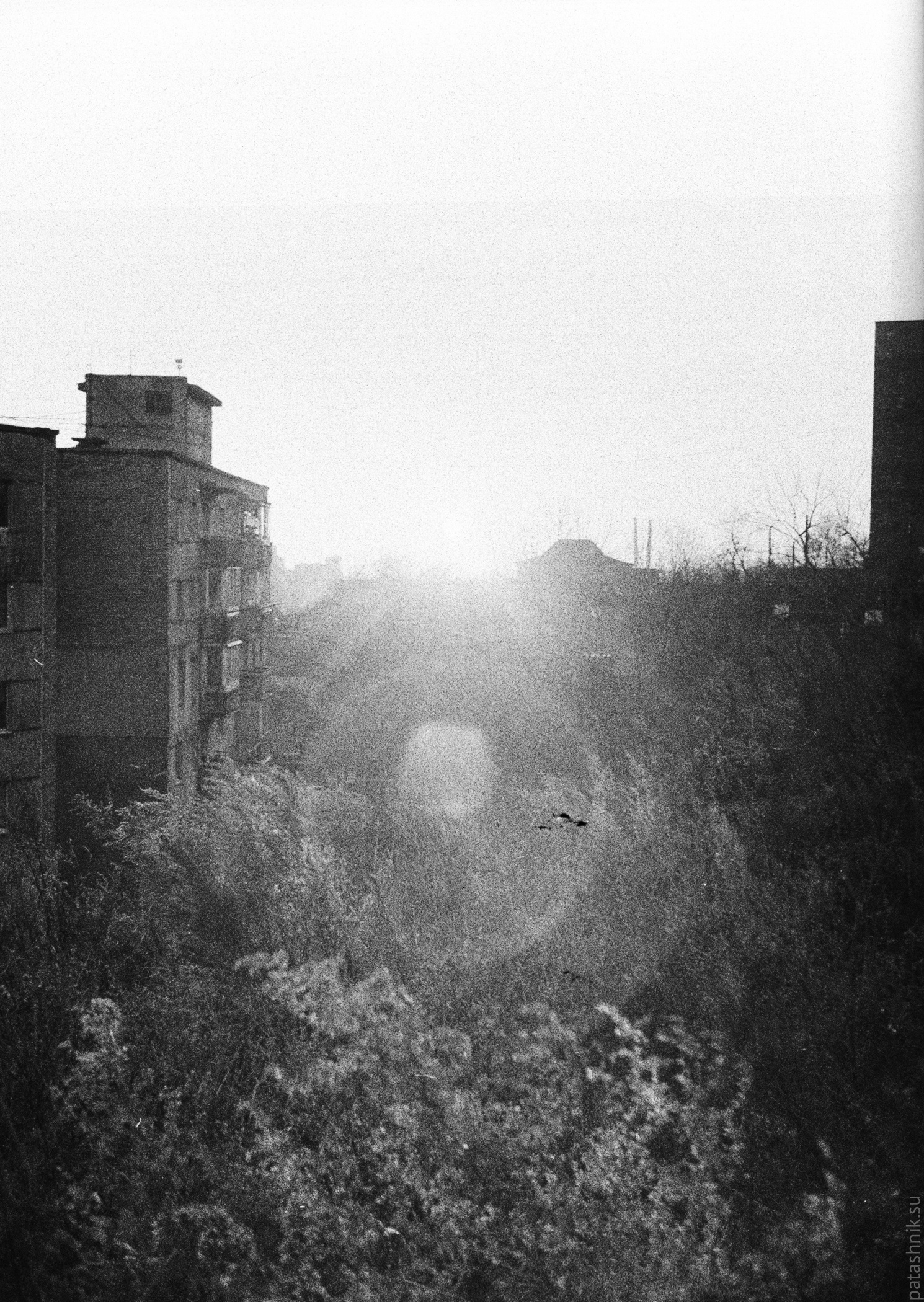 Sunset lens flare and bloom